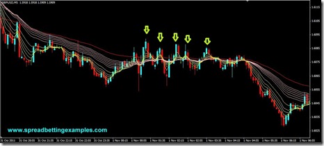 Alligator Scalping_2