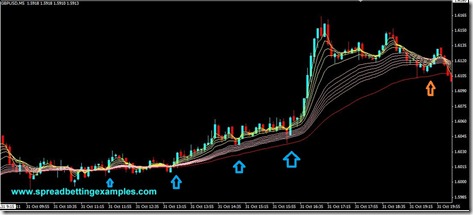 Alligator Scalping_3
